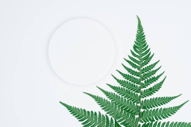 Kağıt ve yapraklardan oluşan yaratıcı bir düzen. Asgari doğa kavramı.