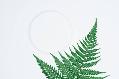 Kağıt ve yapraklardan oluşan yaratıcı bir düzen. Asgari doğa kavramı.