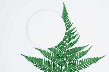 Kağıt ve yapraklardan oluşan yaratıcı bir düzen. Asgari doğa kavramı.