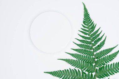 Kağıt ve yapraklardan oluşan yaratıcı bir düzen. Asgari doğa kavramı.