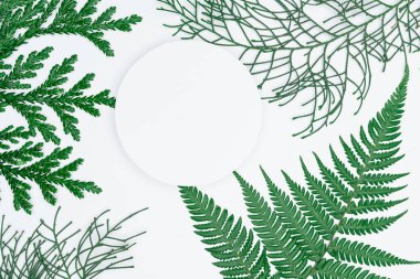 Kağıt ve yapraklardan oluşan yaratıcı bir düzen. Asgari doğa kavramı.