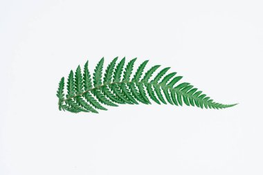 Kağıt ve yapraklardan oluşan yaratıcı bir düzen. Asgari doğa kavramı.