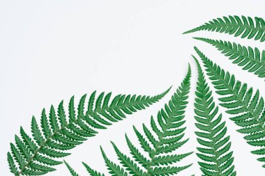 Kağıt ve yapraklardan oluşan yaratıcı bir düzen. Asgari doğa kavramı.