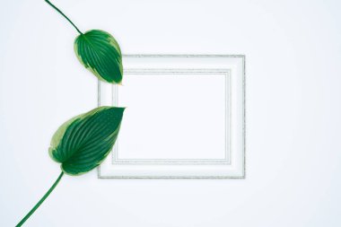 Beyaz arkaplanda yaprakları izole edilmiş boş (boş) beyaz bir fotoğraf çerçevesi.