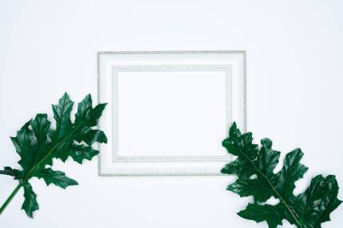 Beyaz arkaplanda yaprakları izole edilmiş boş (boş) beyaz bir fotoğraf çerçevesi.