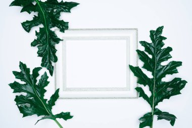 Beyaz arkaplanda yaprakları izole edilmiş boş (boş) beyaz bir fotoğraf çerçevesi.