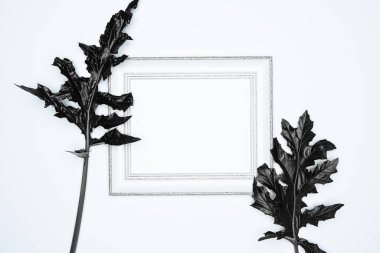 Beyaz arkaplanda siyah yapraklı boş bir beyaz fotoğraf çerçevesi.