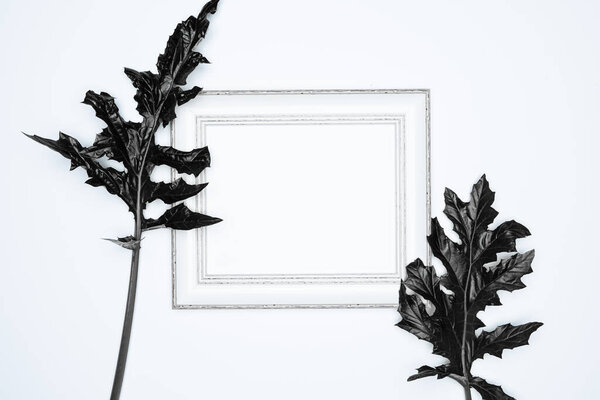A empty(blank) white photo frame with Black leaves isolated on white background.