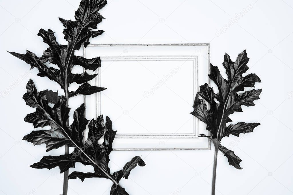 A empty(blank) white photo frame with Black leaves isolated on white background.