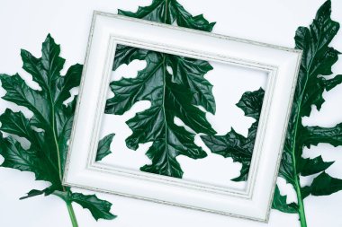 Beyaz arkaplanda yaprakları izole edilmiş boş (boş) beyaz bir fotoğraf çerçevesi.