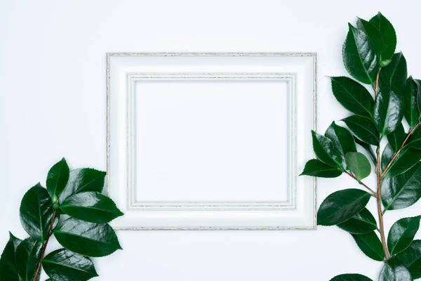 Green Leaves White Photo Frame White Background Flat Lay Top — Stock Photo, Image