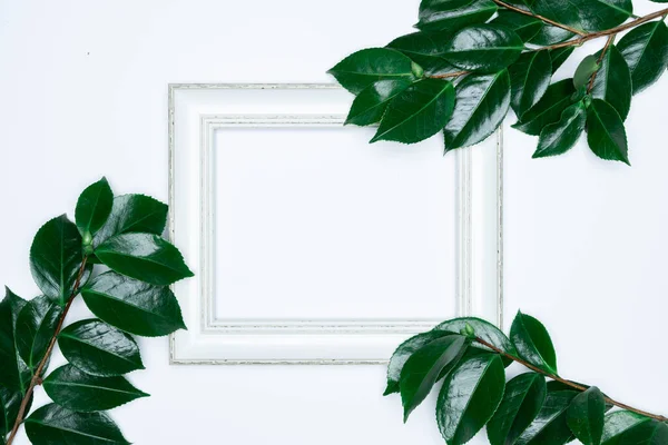 Green Leaves White Photo Frame White Background Flat Lay Top — Stock Photo, Image