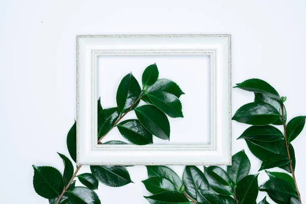 Green Leaves White Photo Frame White Background Flat Lay Top — Stock Photo, Image