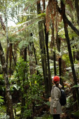Ormanlarda gezen genç bir kadın..