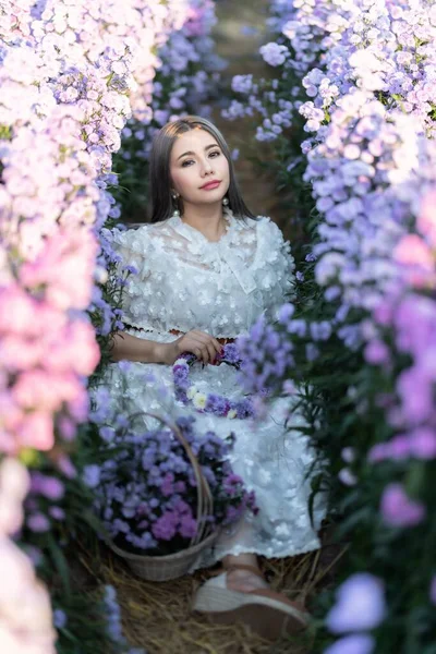 Portrait Beautiful Romantic Woman Fairy Field Margaret Bouquet — Stock Photo, Image