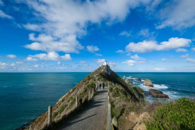 Nugget Point Panorama Manzarası Balclutha, Yeni Zelanda.