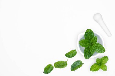 Havan Öğütücü ilaçları ve taze otlar. Beyaz arka planda izole edilmiş nane şekerleri. Kopyalama alanı.