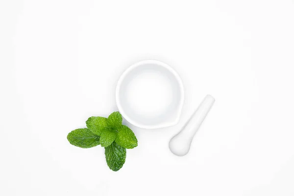 Mortar Grinder Drugs Fresh Herbs Mints Isolated White Background Copy — Stock Photo, Image