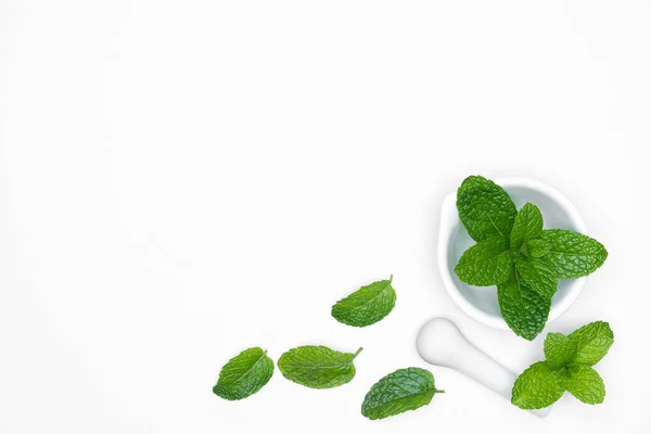 Obat Mortir Grinder Dengan Herbal Segar Mint Diisolasi Pada Latar — Stok Foto