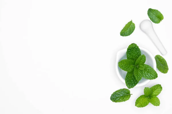 Obat Mortir Grinder Dengan Herbal Segar Mint Diisolasi Pada Latar — Stok Foto