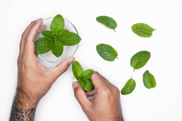 Man hand with bowl and herbs isolated on white background. For copy space.