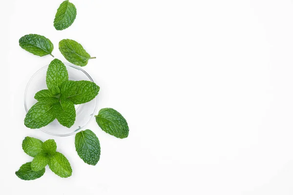 Bol Verre Aux Herbes Fraîches Menthe Isolée Sur Fond Blanc — Photo