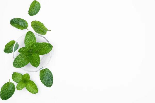 Bol Verre Aux Herbes Fraîches Menthe Isolée Sur Fond Blanc — Photo