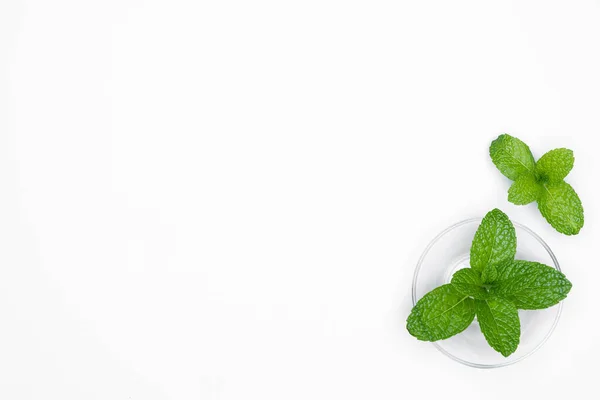 Mangkuk Kaca Dengan Herbal Segar Mint Diisolasi Pada Latar Belakang — Stok Foto