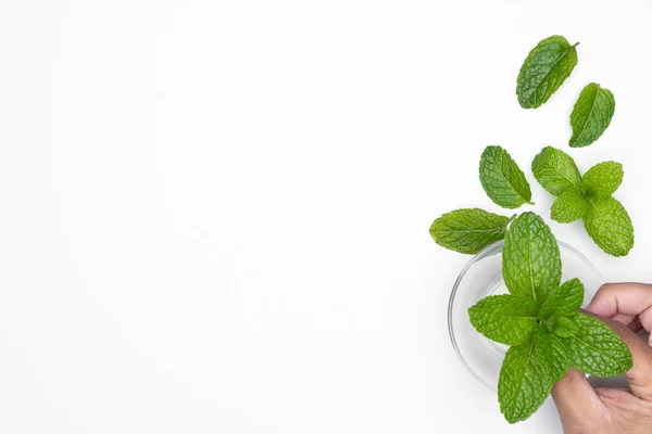 Man Hand Bowl Herbs Isolated White Background Copy Space — Stock Photo, Image