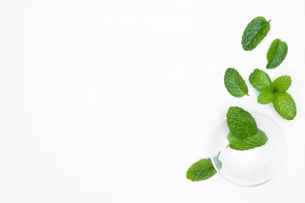 Bol Verre Aux Herbes Fraîches Menthe Isolée Sur Fond Blanc — Photo