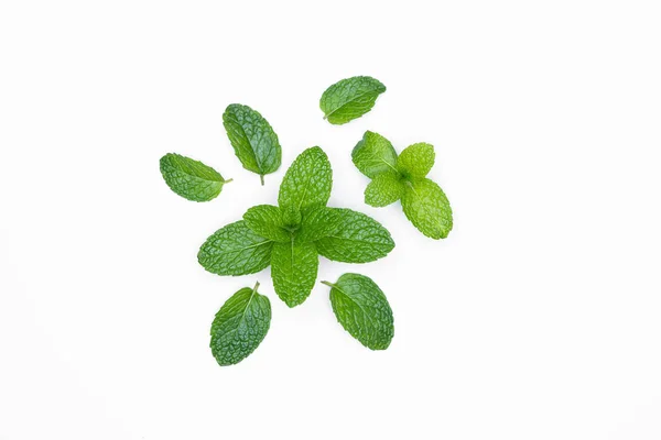 Fresh Raw Mint Isolated White Background Copy Space — Stock Photo, Image