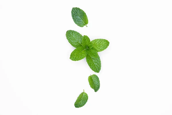 Fresh Raw Mint Isolated White Background Copy Space — Stock Photo, Image