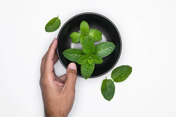 Main Homme Avec Bol Herbes Isolées Sur Fond Blanc Pour — Photo