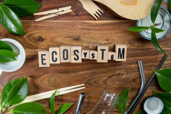 Dřevěná Cihla Slovy Eco System Dřevěném Pozadí Eco Koncept Symbolem — Stock fotografie