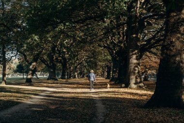 17 / 5 / 2020 Açık hava sporu, Hagley Park, Christchurch, Yeni Zelanda 'da altın sonbahar. COVID-19 Seviye 2 durumu sırasında.