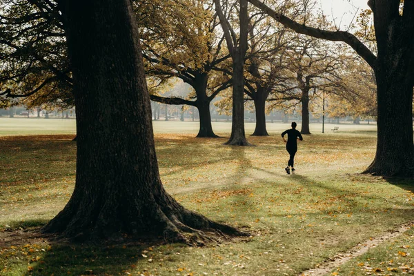 17 / 5 / 2020 Açık hava sporu, Hagley Park, Christchurch, Yeni Zelanda 'da altın sonbahar. COVID-19 Seviye 2 durumu sırasında.