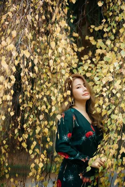 美丽的亚洲女人 手中拿着秋天的叶子 背景是秋天的黄叶 — 图库照片