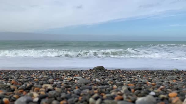 Pohled Skalnatou Pláž Oceánu Slunci Létě Awamoa Beach Oamaru Nový — Stock video