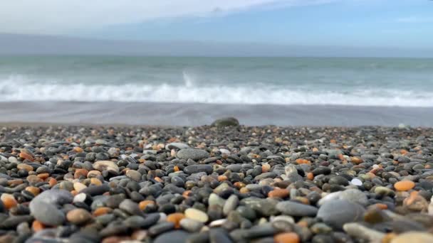 Pohled Skalnatou Pláž Oceánu Slunci Létě Awamoa Beach Oamaru Nový — Stock video