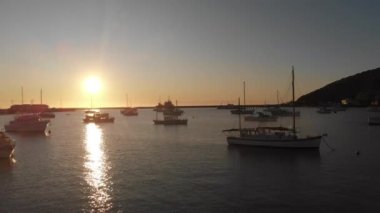 Balıkçı teknesi ve kuşun gündoğumunda Yeni Zelanda, Oamaru 'daki Friendly Bay' de çekilmiş görüntüleri..
