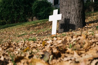 Sonbaharda ağacın altında sonbahar yapraklarıyla beyaz haç.