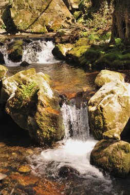 Temiz su deresinde akıntılar.