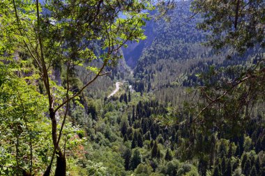Kayalıklarda bir ağaç, arka planda derin bir vadide bir yol.