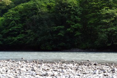 Güzel ve sakin dağ nehri