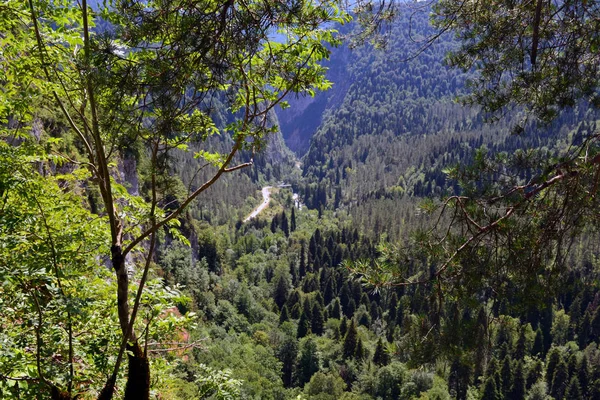 Kayalıklarda Bir Ağaç Arka Planda Derin Bir Vadide Bir Yol — Stok fotoğraf