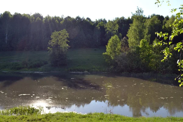 Belo Misterioso Lago Floresta Coberto — Fotografia de Stock