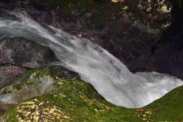 Beau Ruisseau Bouillonnant Long Des Rives Envahi Par Mousse — Photo