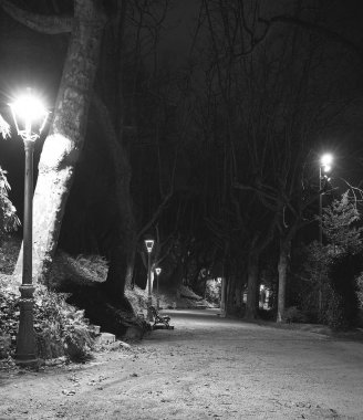 Geceleri yanan yalnız bir parkın kıvrımlı yolu