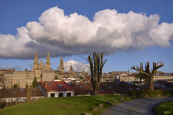 Compostela 'nın Santiago Katedrali. Bu şehir dünyanın dört bir yanından gelen hacılar için bir hac yeri..
