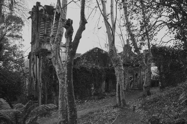 Eski harabe bina ormanda terk edilmiş. Bina yalnızlık ve gizem hissi veriyor.